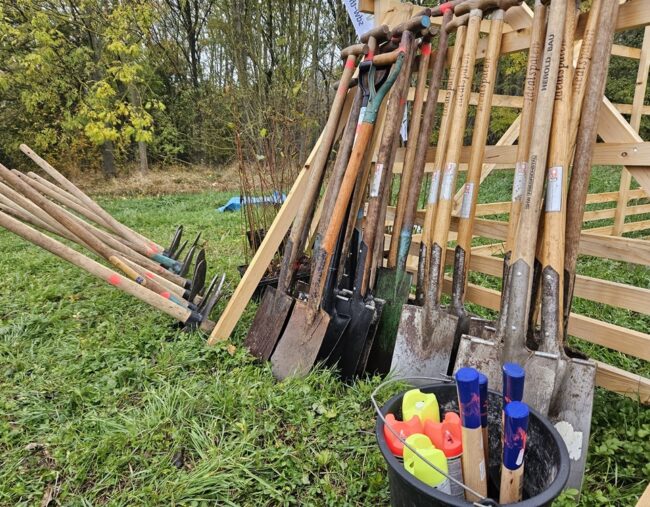 Baumpflanzaktion an der Gera-Aue