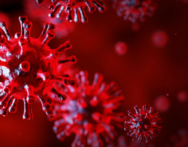 Coronavirus (schematische Darstellung)