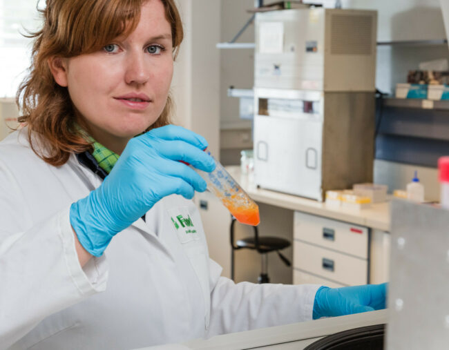 Forschung in Thüringen (im Bild: Forscherin im Labor zur Untersuchung von Lebensmitteln)