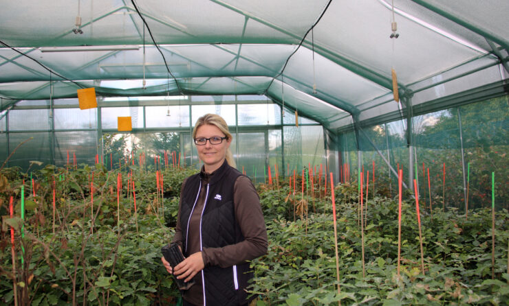 Anja Kolbe-Nelde züchtet Trüffel in Thüringen