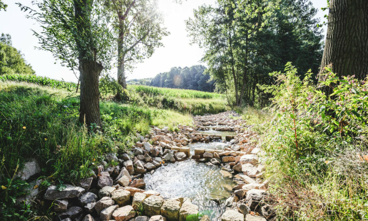 Umweltförderung in Thüringen (im Bild: Fischtreppe im Ostthüringer Raum)
